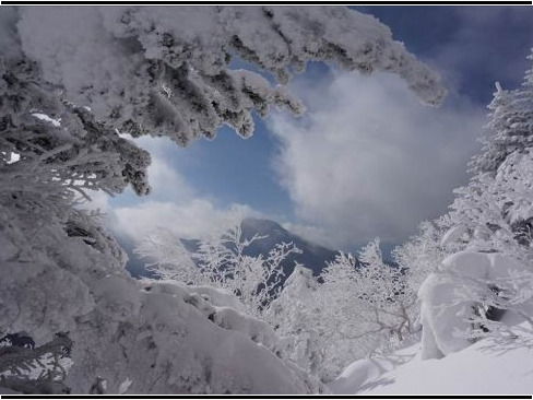 2014.1 八ヶ岳(N・T)