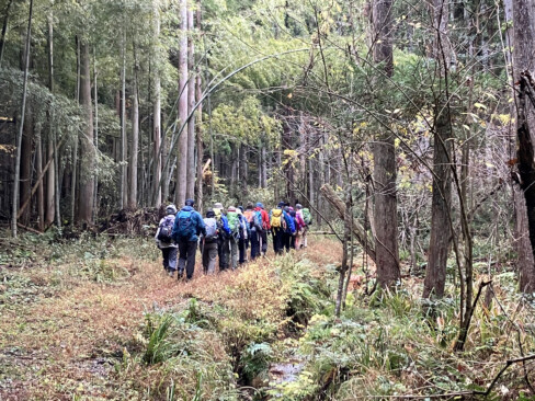 民家を抜けて竹林の中の林道を進みます。