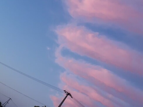 2022.8 高松市内(S・D)