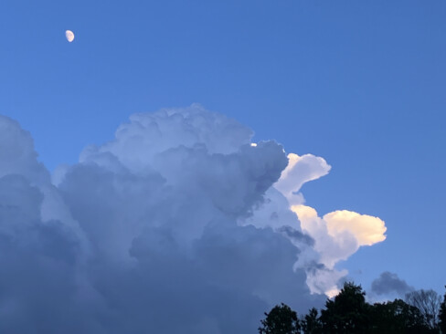 2022.8 舞鶴市内(M・Y)