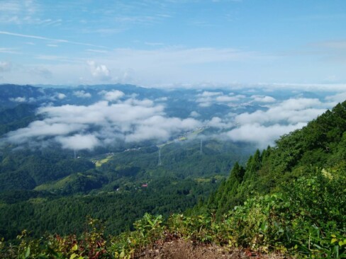 2022.8 青葉山(N・T)