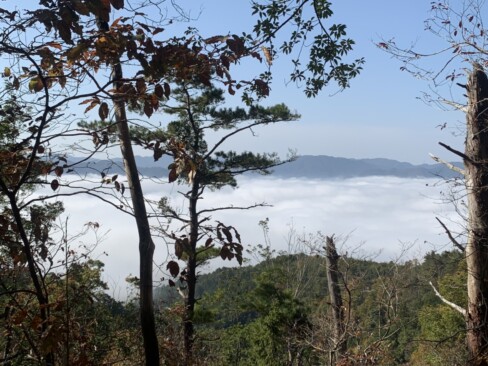 2019.11 牛松山(F・S)