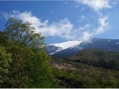 2018.6 富士山にて(N・T)