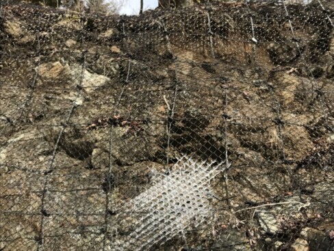 金網に氷が・・・自然の造形(*^^*)