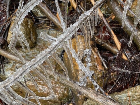 雪解け水が飛び散って、つららになっていました。
