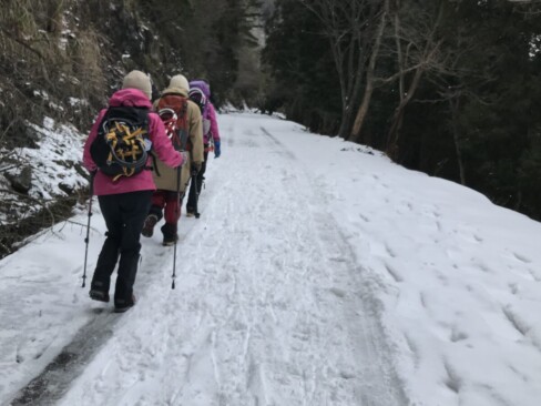 鍋塚休憩所に向かう舗装路を歩きます。車で入っている人もあるようです。