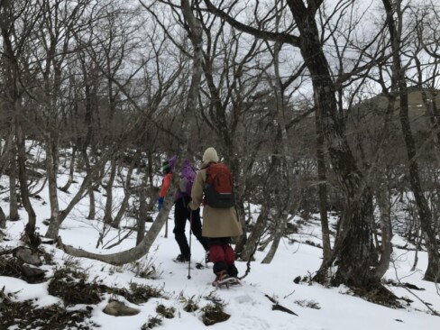 ・・・ですが・・・登山道に雪が少なくなってきて、雪を求めて歩きます。