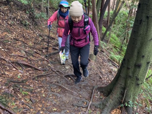 木の根っこが濡れていて滑りやすくなっています。気を付けて。