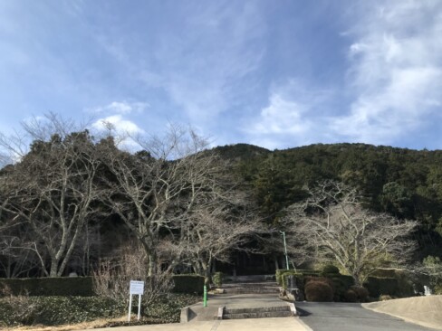 南ケ丘公園の登山口から登ります。4月には桜を楽しむことができます。