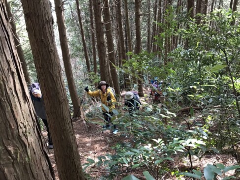 体力作りコースから登ります。