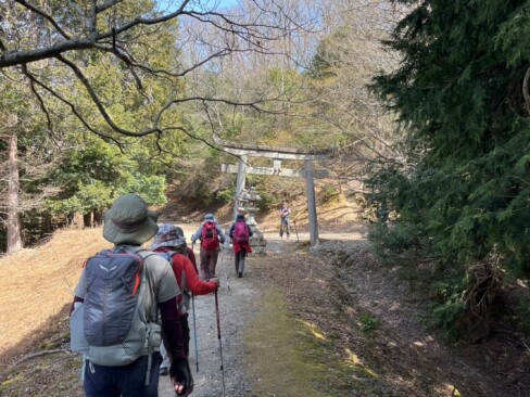 てんこ山の斜面を左に見ながら林道を進むと、石鳥居のある広場に到着。ここで昼食タイム。
