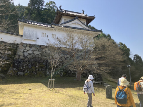 出石城祉。石垣も見事に残り、あたりは桜の名所。ソメイヨシノと八重桜が混在し、長い期間楽しめるそうです。