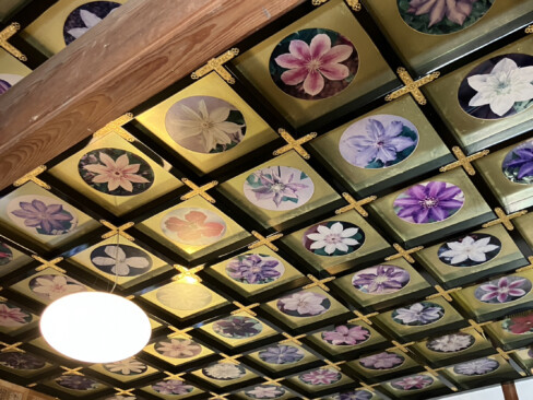 本覚寺、別名てっせん寺と呼ばれる華やかな天井。本堂の近辺もてっせんの画像で飾られていました。