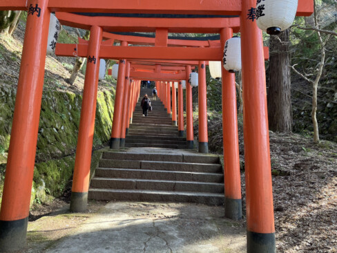 朱色の鳥居が続く石段を登ると稲荷神社があり、あたり一帯は城山公園として整備されています。