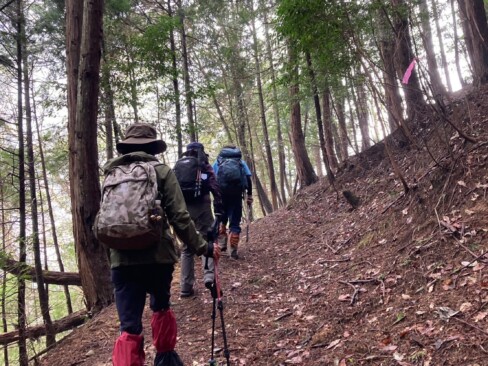ピンクテープもあり、歩きやすい登山道です。