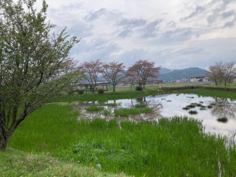 今日は観音寺の山添池からスタートです。