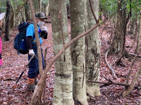 えっ!!!この爪痕は・・・熊ですか!