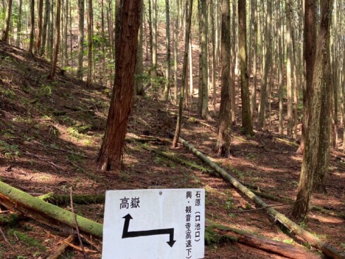 今日は、観音寺の高速下へ下ります。