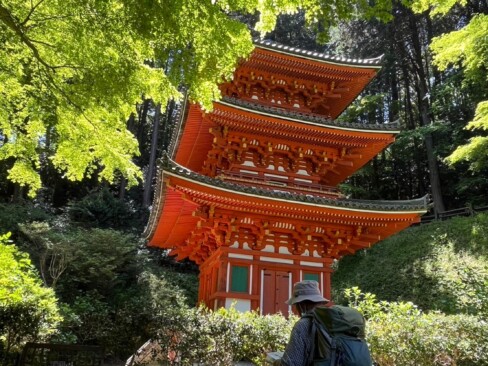 朱塗りの三重塔。