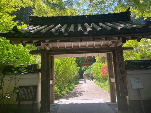 山門の向こうに、三重塔が見えています。