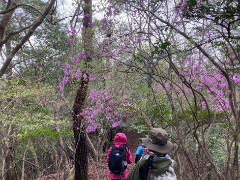 この日は天気が不安定で、雨が降ったりやんだり。雨がひどくなる前に、サクッと下ります。