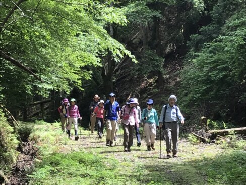 沢の音を聞きながら、元気に歩きます。
