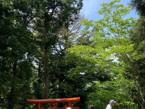 青空の下、おいしくいただいています。