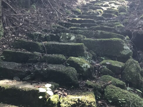 そして、延々と続きそうな石段。苔むして趣はあります・・・が、石段はしんどい・・・。