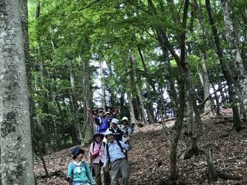 急な下りをクリアして、ほっと一息の皆さん。まだまだ元気ありそう。