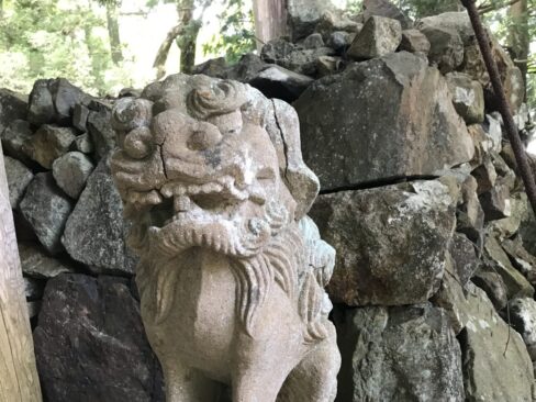 こちらも・・・。愛嬌のあるお顔。