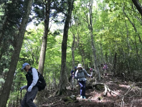 下山は、日置谷方面へ。急な下り・・・慎重に。