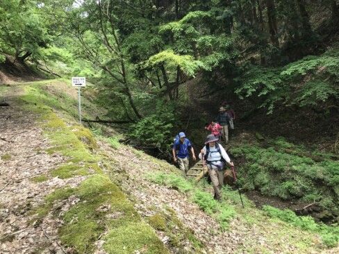 やっと林道まで下りてきました。