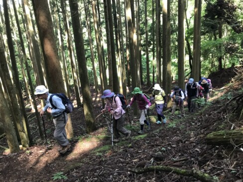 杉の植林の間を登ります。なかなかの急登!!