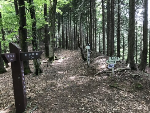 ここから右手に折れて、回遊コースに入ります。