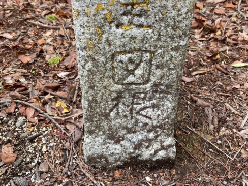 標識42へ下ってから急な坂を登り返したところにある図根点の標石。図根点とは、三角測量後に行われる細部の測点。これは国有林の地図を作成するために設置したものらしい。