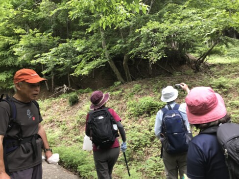 リーダーから木々や花についてのお話が。ほんまに、勉強になります(^O^)/