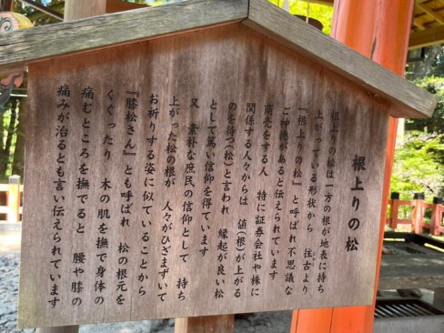 膝や腰の痛みが治るなんて・・・ぜひくぐらねば!!