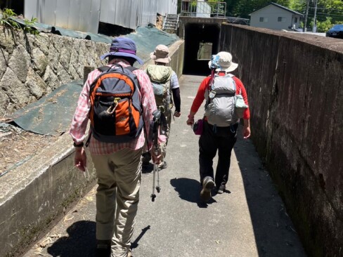 照り付ける日差しに負けず、歩きます。