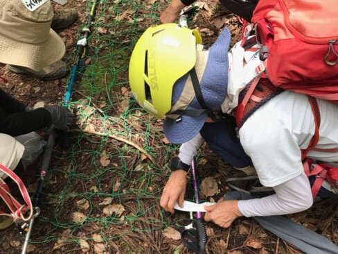 獣除けのネットとストックを利用した搬送ネット。頭のほうを少し狭くすること。