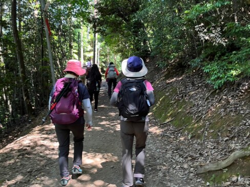 舗装路の多いこのコース。木漏れ日がありがたいm(__)m