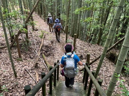 竹林の中の階段や通路を歩きます。