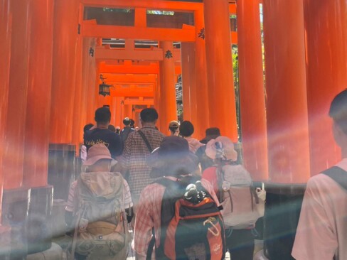 千本鳥居を歩きます。神域らしい厳かな雰囲気。