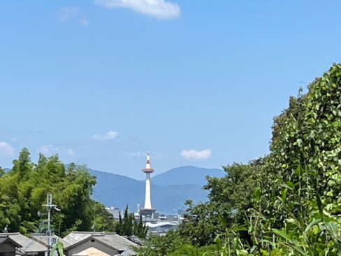 京都タワーが見えてます。いいねーーー(^O^)/
