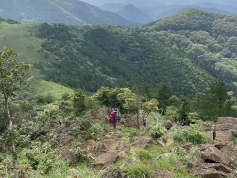 緑が濃いーーーーー!(^^)!夏の山です。