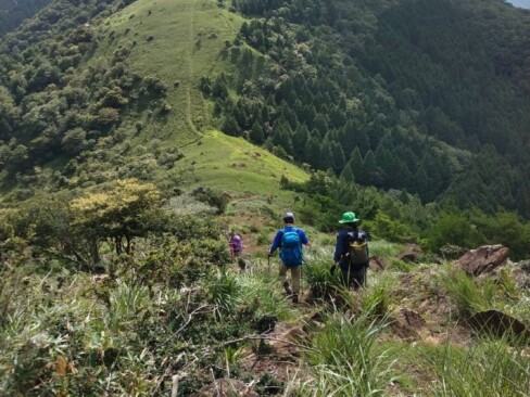 赤石ケ岳からの下山。この笹原の景色、好きだなあ。