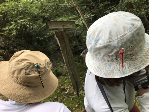 オニヤンマ君とアカネちゃん。悪い虫を寄せ付けません…たぶん・・・。