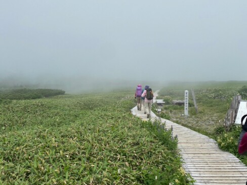 室堂までは、木道も整備されています。「霊峰白山登拝道」と書いてあります。