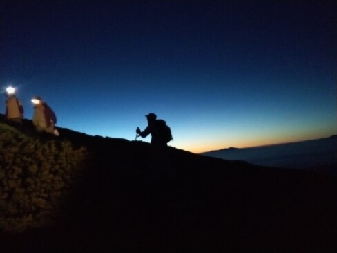 シルエットもいいですね。