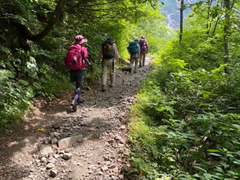 しばらくは自然林の中を進んで行きます。