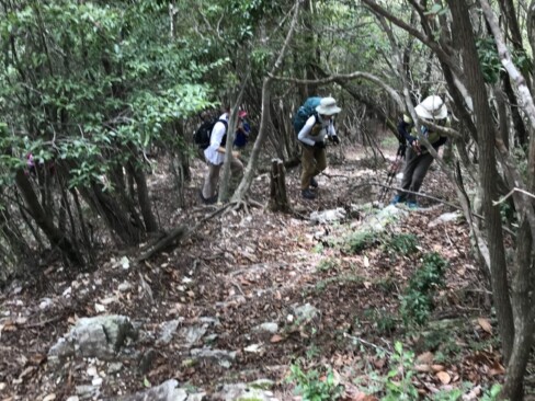 いよいよ岩が出てきました。慎重に。